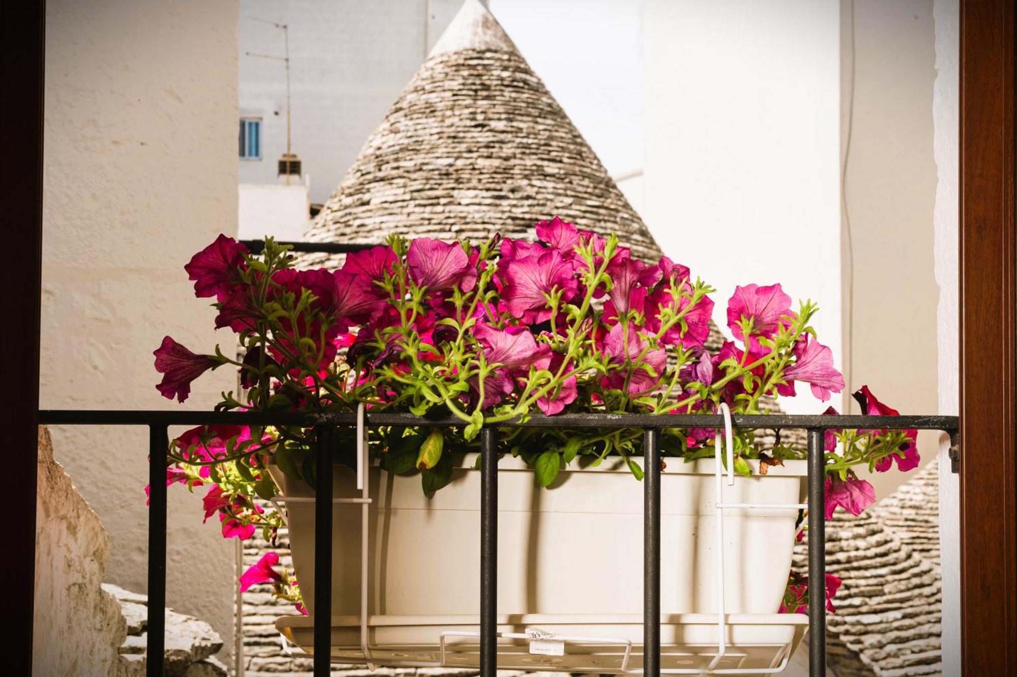 Il Trullo Moore อัลเบโรเบลโล ภายนอก รูปภาพ